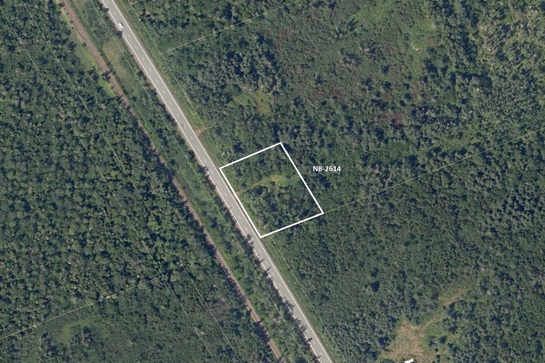 Aerial view of land area captured by satellite, displaying terrain and surroundings.