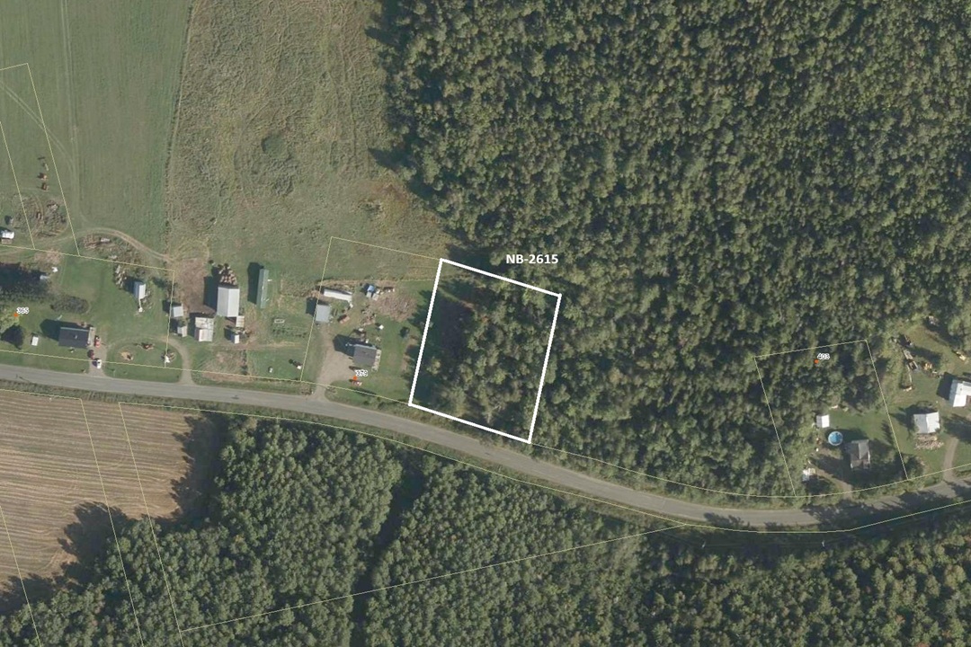 Aerial view of land area captured by satellite, displaying terrain and surroundings.